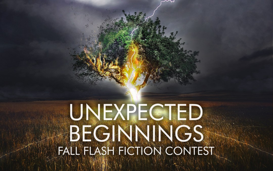 Fall Flash Fiction Writing Contest Winner – Michaylah Malone!