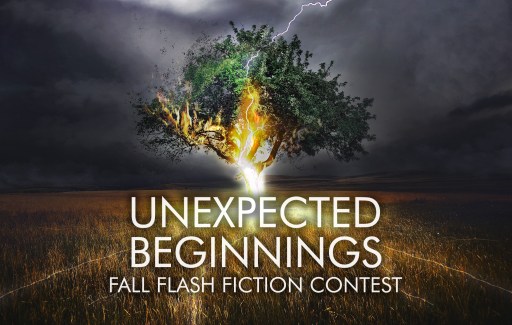 Unexpected Beginnings Flash Fiction Contest