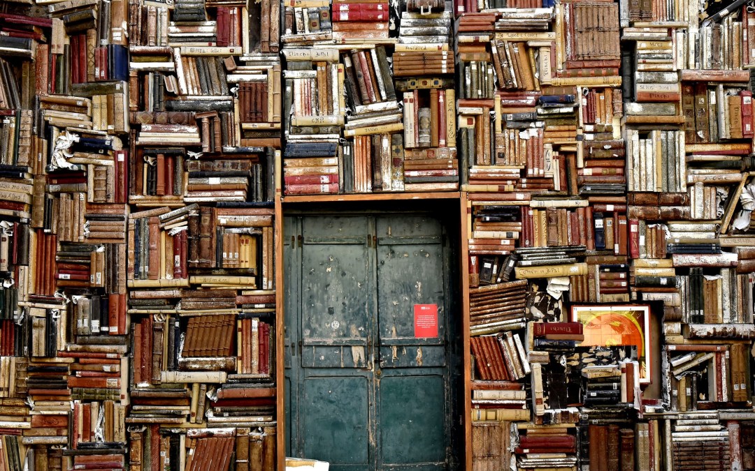 Crazy library full of books